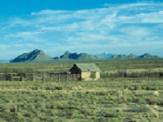 Chihuahuan Desert Rangeland Research Center